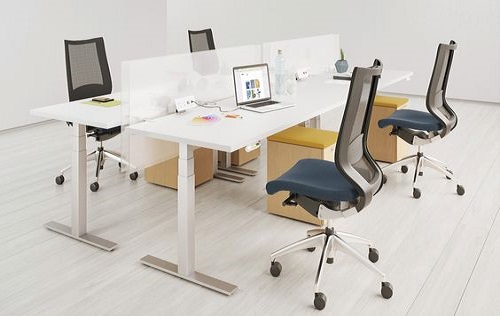 ghế xoay văn phòng lưng lưới