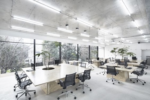 ghế xoay văn phòng tựa lưới