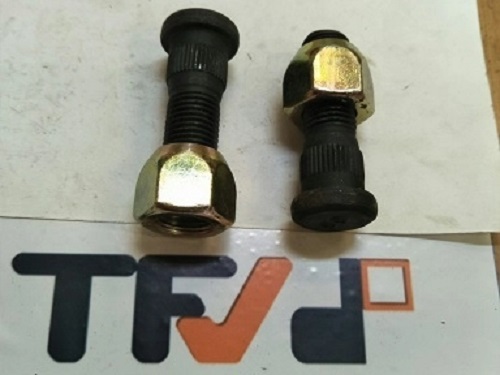 Bulong tắc kê lắp đặt cho xe nâng hàng