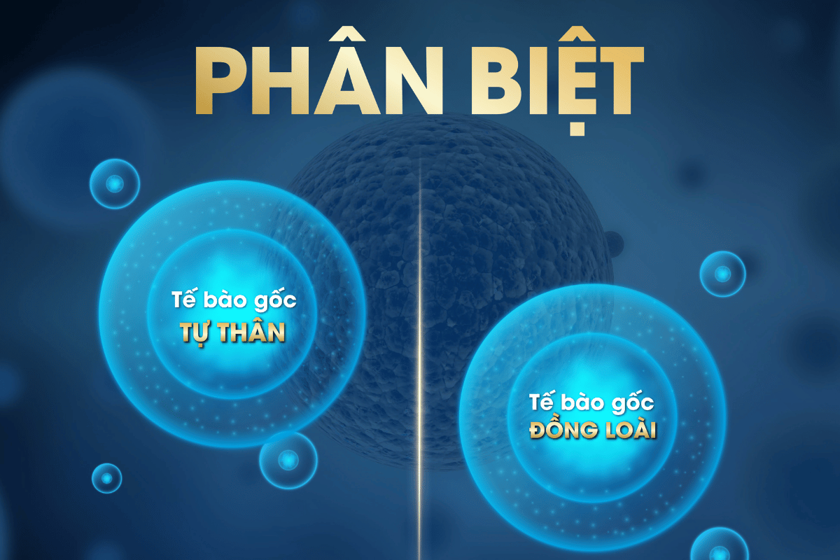 PHÂN BIỆT TRỊ LIỆU TẾ BÀO GỐC ĐỒNG LOÀI & TRỊ LIỆU TẾ BÀO GỐC TỰ THÂN