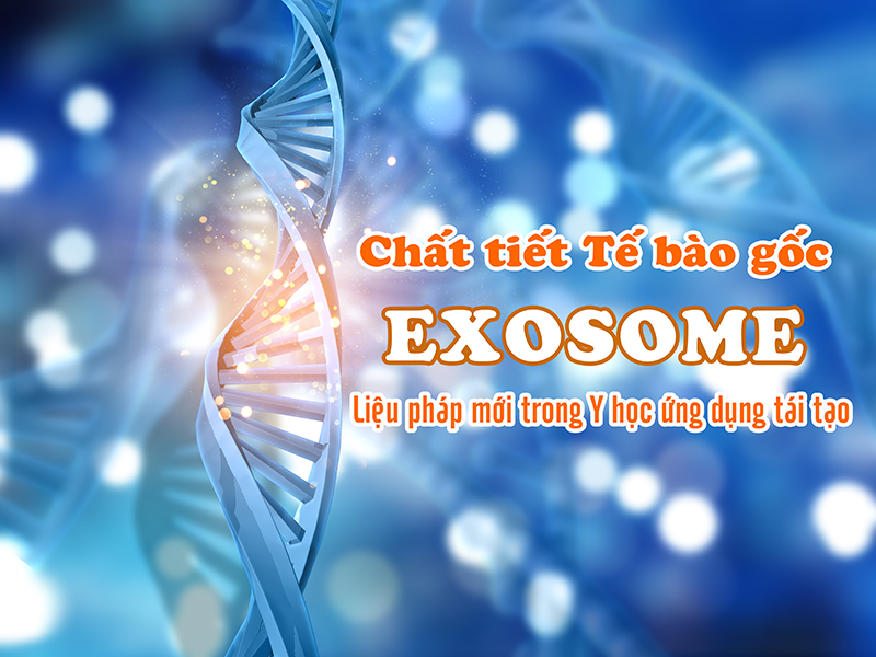 Chất tiết Tế bào gốc Exosome - Liệu pháp mới trong Y học ứng dụng tái tạo