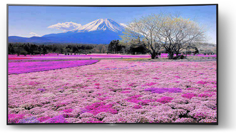 Internet Tivi Led Sony KD55S8500D 55 inch Đà Nẵng 2