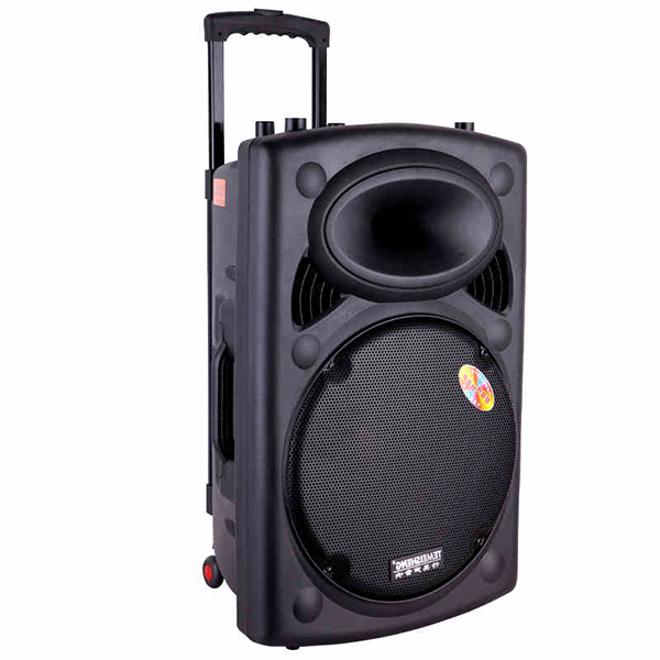 Loa trợ giảng dạng kéo Temeisheng 297L giá rẻ