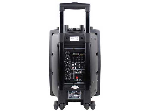 Loa trợ giảng dạng kéo Temeisheng DP-131L hình 2