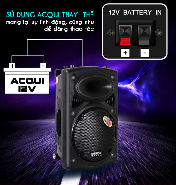 Loa trợ giảng dạng kéo Temeisheng 297L ảnh 6