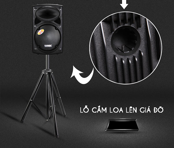 Loa trợ giảng dạng kéo Temeisheng 297L ảnh 4