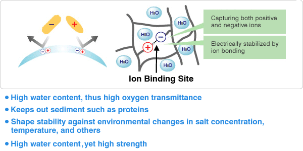 Chất liệu lưỡng tính SIB, là chất liệu của hãng SEED Nhật Bản có độ tương thích sinh học cao cấp, chất liệu cấu tạo tương tự như protein – một thành phần của cơ thể con người- do chứa đồng thời cả 2 ion âm và dương