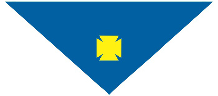 Khăn Ngành Thiếu Thiếu Nhi Thánh Thể Việt Nam