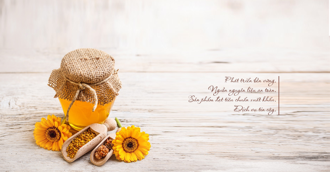 mat ong bac ha mat ong bac ha