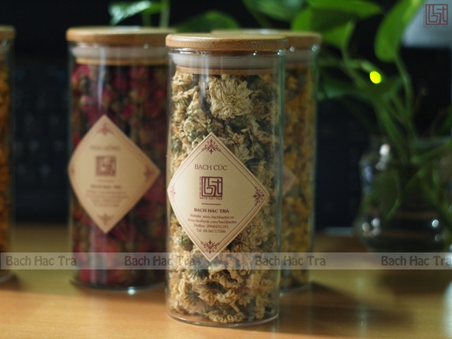 hoa bạch cúc khô