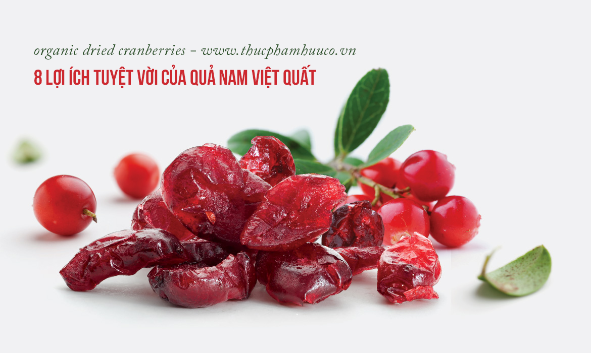 8 lợi ích tuyệt vời của quả nam việt quất đối với sức khỏe