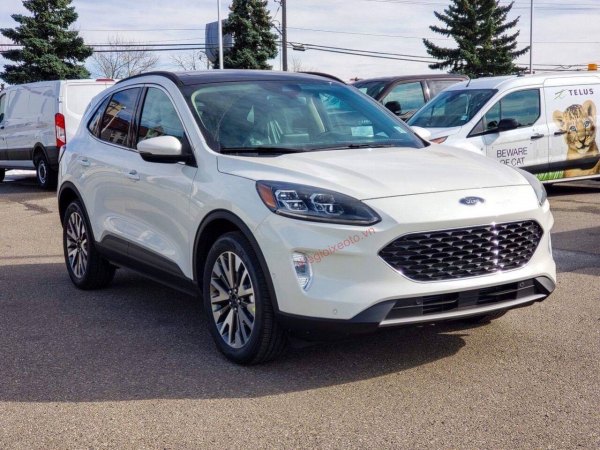 Hình ảnh Ford Escape 2020