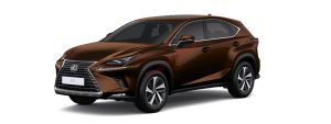 Lexus NX300 màu nâu (4X1)