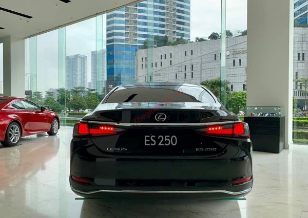 đuôi xe Lexus ES 250 2022