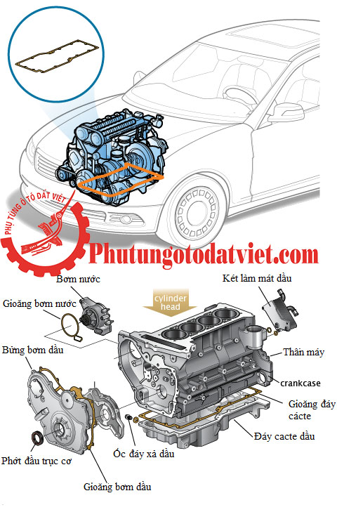 Gioăng đáy Cacte BMW 320i 325i E46, 520i 525i 530i - 11131437237