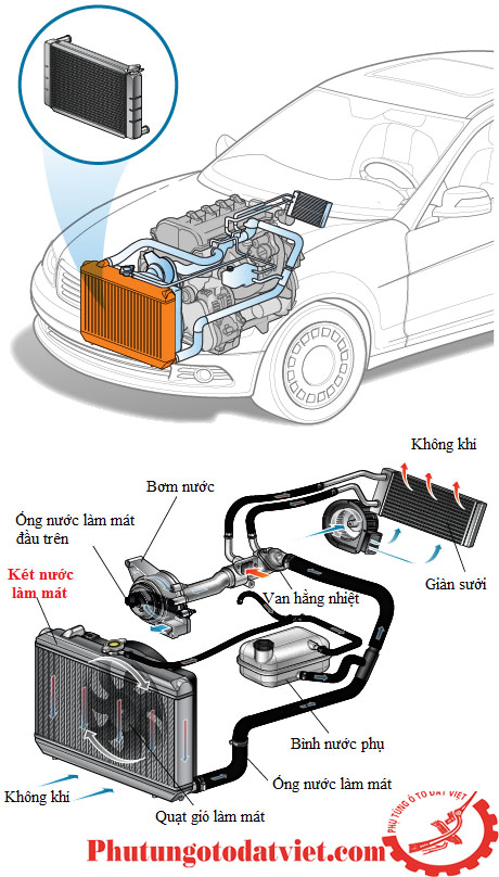 Vị trí két nước làm mát