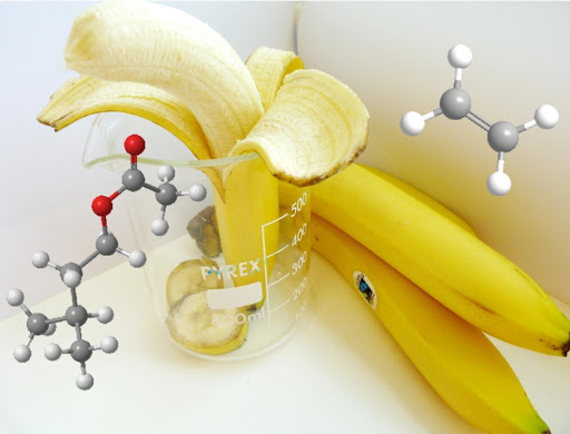 Kết quả tìm kiếm của dung môi xăng thơm