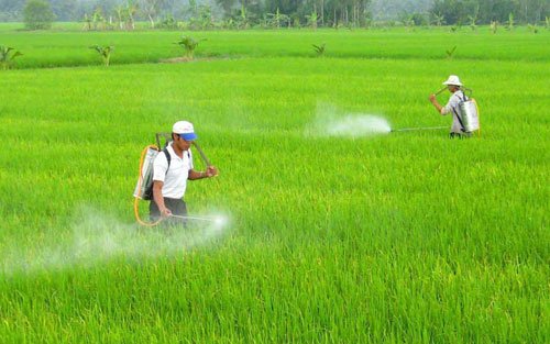 hoá chất nông nghiệp