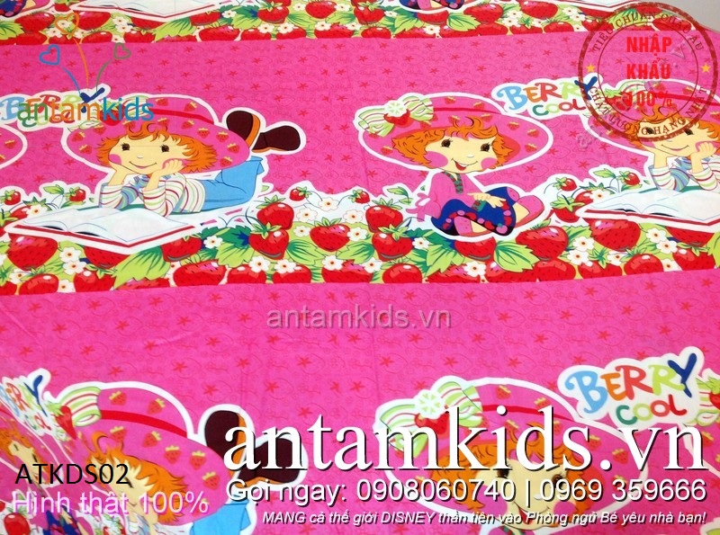 Chăn ga gối hoạt hình cho be gai antamkids.vn