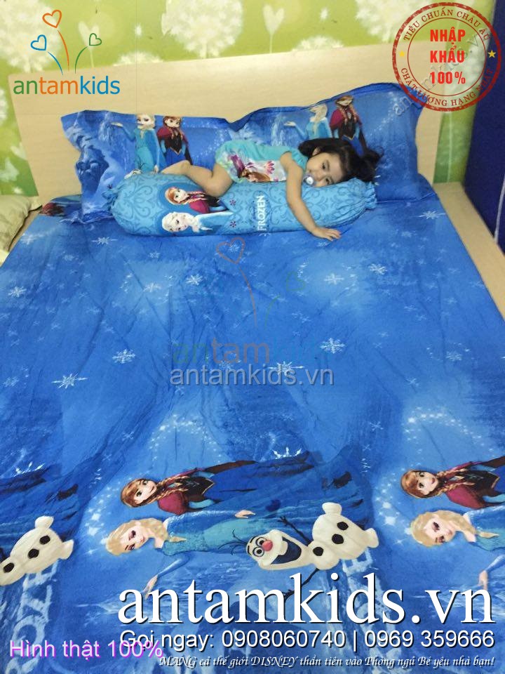 Drap trải giường trẻ em hình công chúa băng giá Disney Frozen anna elsa