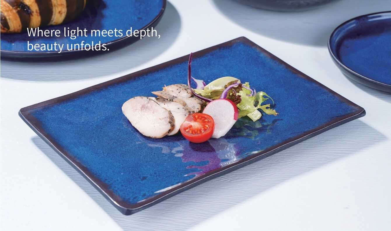 dĩa melamine giả sứ phong cách nhật