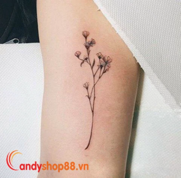 Hình xăm hoa đẹp