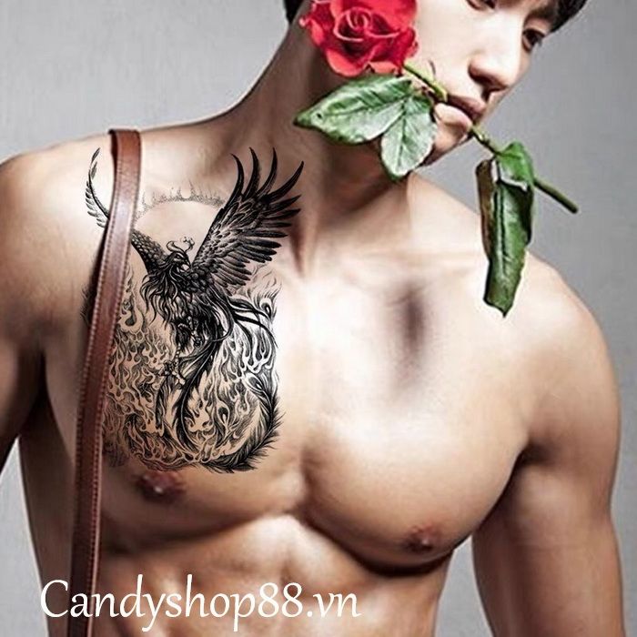 Hình xăm dán tattoo phượng hoàng