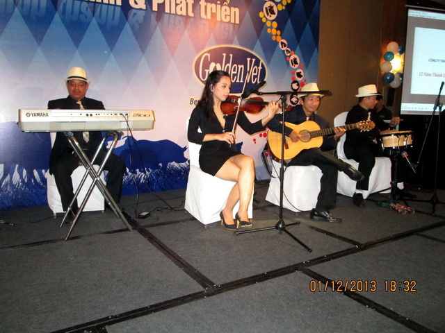 Ban nhạc Flamenco - Ban nhạc chuyên nghiệp-Ban nhạc sài gòn