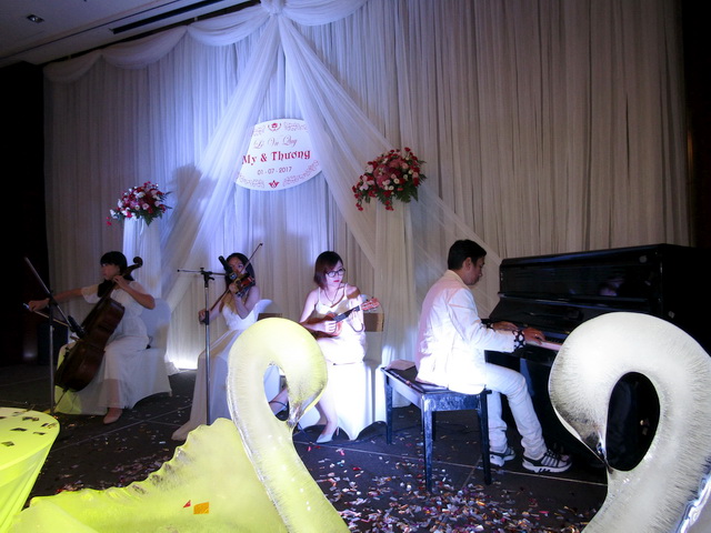 Ban nhạc Flamenco - Ban nhạc chuyên nghiệp-Ban nhạc sài gòn