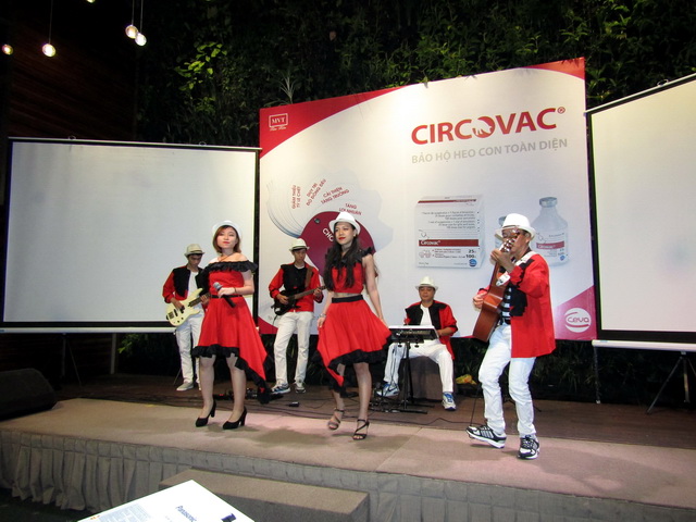 Ban nhạc Flamenco - Ban nhạc chuyên nghiệp-Ban nhạc sài gòn