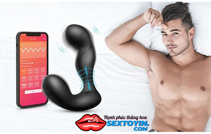 Đồ chơi hậu môn (Anal Toy)