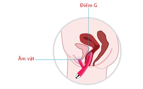 Máy Rung Massage Điểm G Svakom Trysta - DC89H