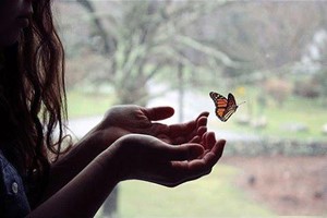 Hãy dừng lại và buông xả