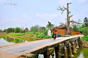 “Mẹ già như chuối chín cây”, đọc xong câu chuyện này rất nhiều người bật khóc