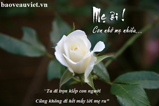 Vu Lan nhớ Mẹ