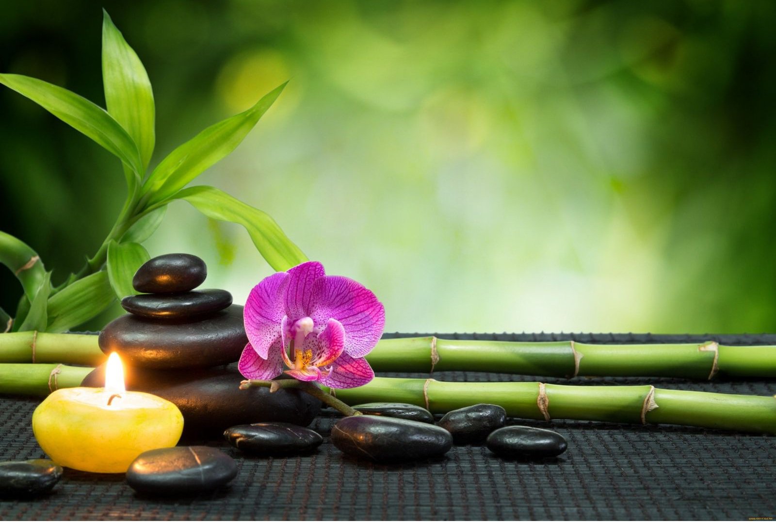 Phong thủy lớn nhất mà một người nên theo đuổi trong cuộc đời là gì?