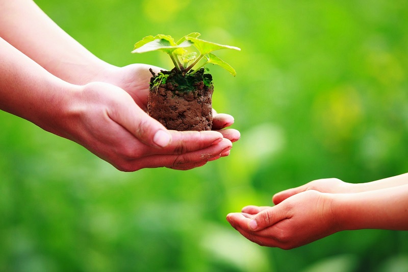 Đời người làm điều gì là quan trọng nhất? Đừng bỏ qua bài viết này kẻo ân hận về sau!