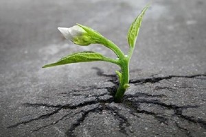 Không có thành công dễ dàng, tất cả đều phải trải qua những tháng ngày tích lũy