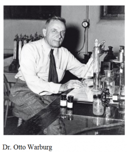 Tiến Sĩ Otto Heinrich Warburg