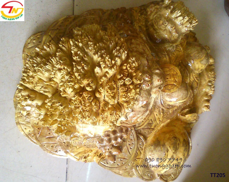 Nên đặt thiềm thừ ở đâu