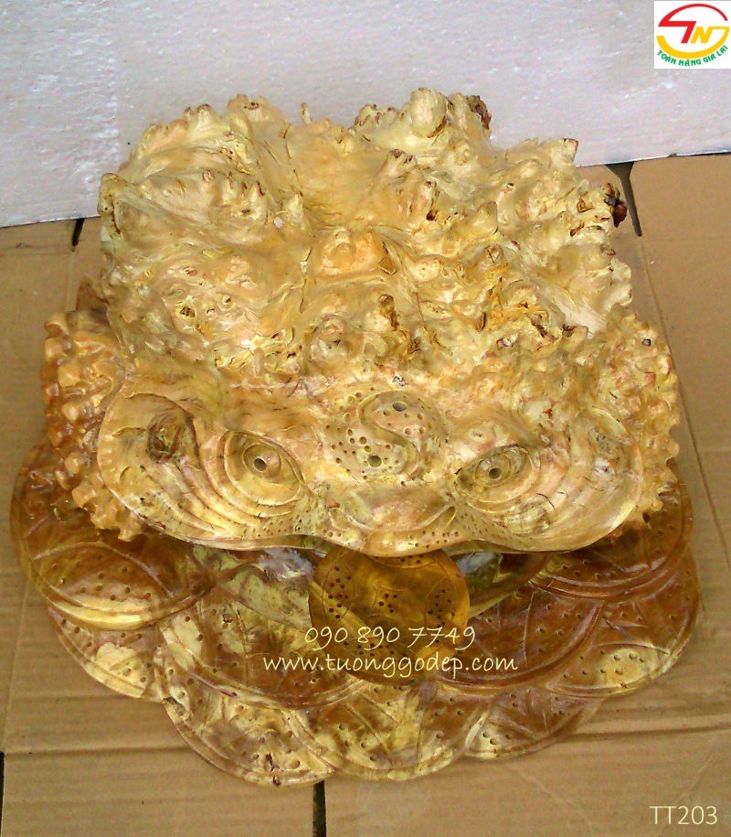 Thiềm thừ gỗ nu nghiến