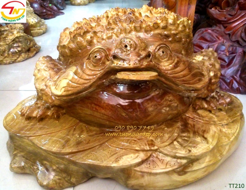 Thiềm thừ gỗ nu nghiến