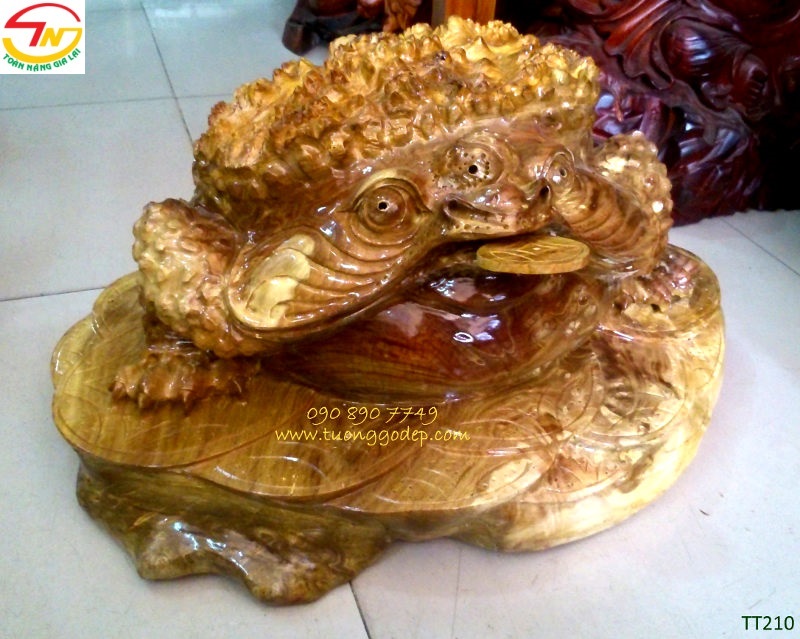 Thiềm thừ gỗ nu nghiến