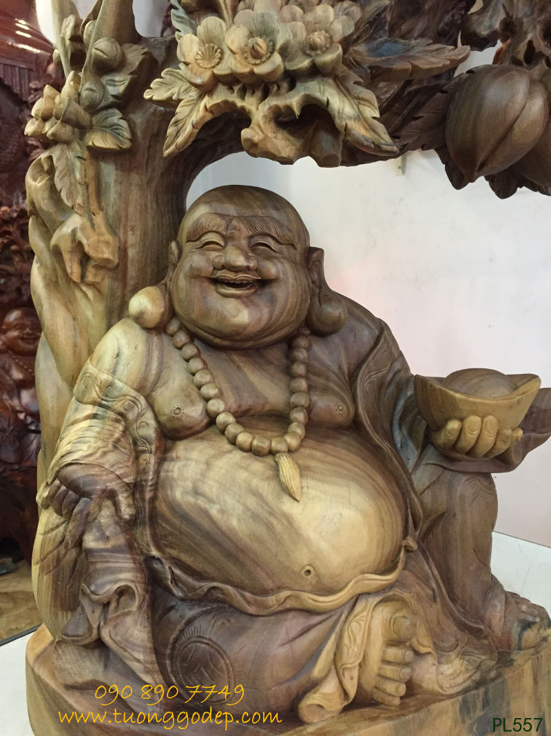 gỗ bách xanh