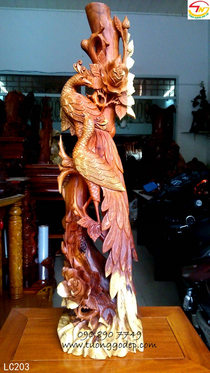 Chim Công