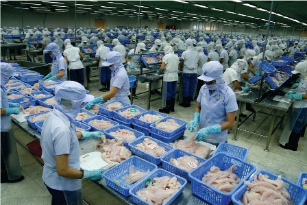ca-tra-viet-tap-doan-ban-le-lon-nhat-chau-au-noi-gi