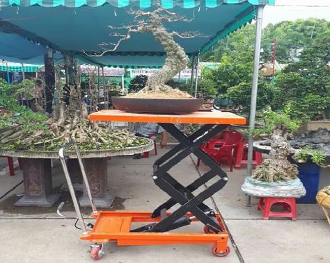 viet-nhat-noi-ban-xe-nang-cay-canh-xe-nang-mat-ban-gia-re-nhat