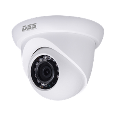 Camera Dahua ip DSS DS2230DIP