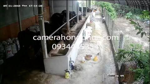 lap-dat-camera-quan-sat-trang-trai-o-trang-bang