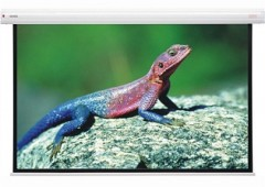 Phụ kiện máy chiếu